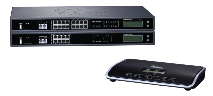 Grandstream UCM6100
